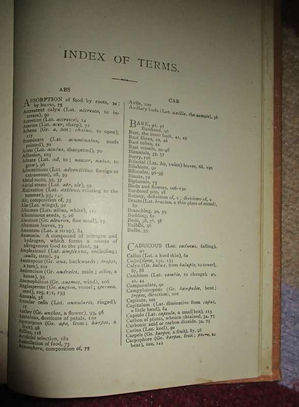 Elementary Botany for South Africa 1910