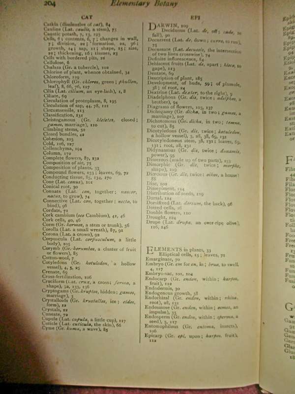 Elementary Botany for South Africa 1910