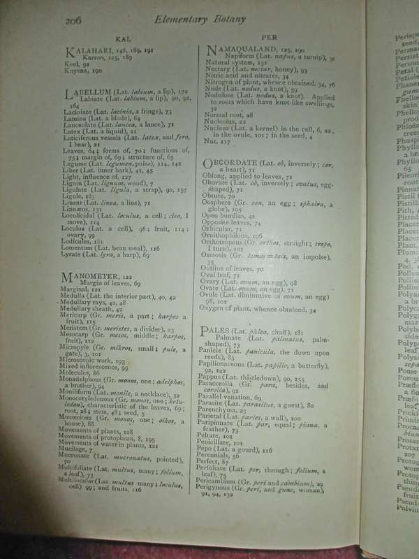 Elementary Botany for South Africa 1910
