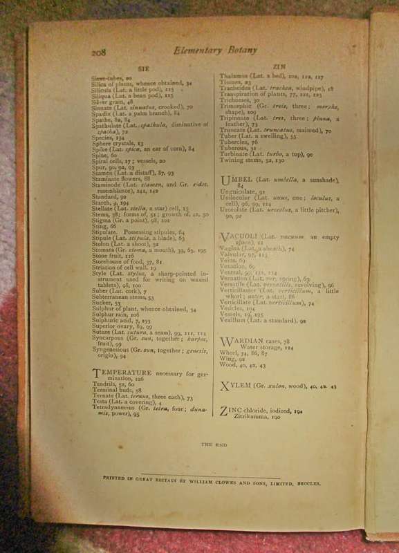 Elementary Botany for South Africa 1910