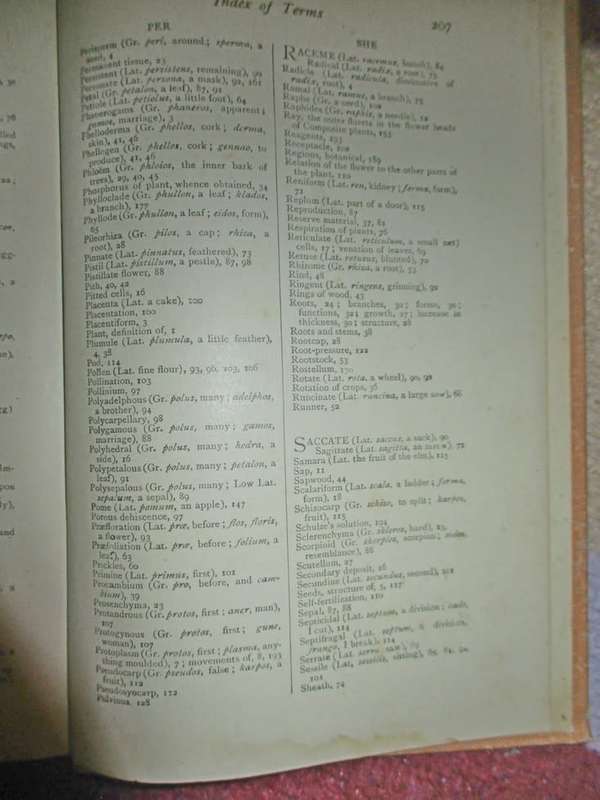 Elementary Botany for South Africa 1910