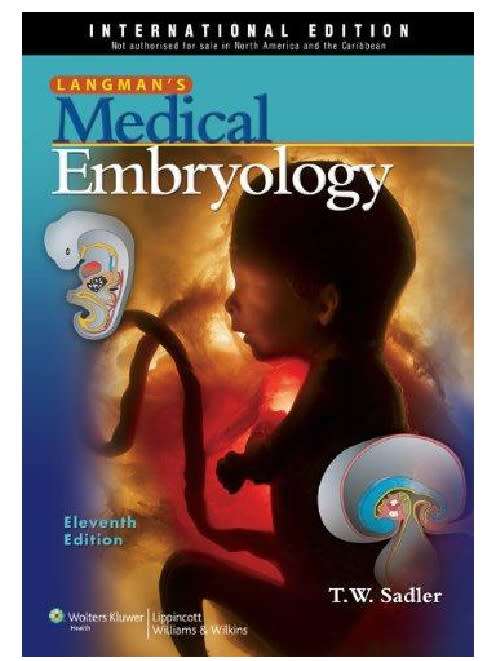 Langman's Medical Embryology by T W Sadler