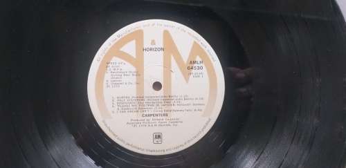 Carpenters:  Horizon