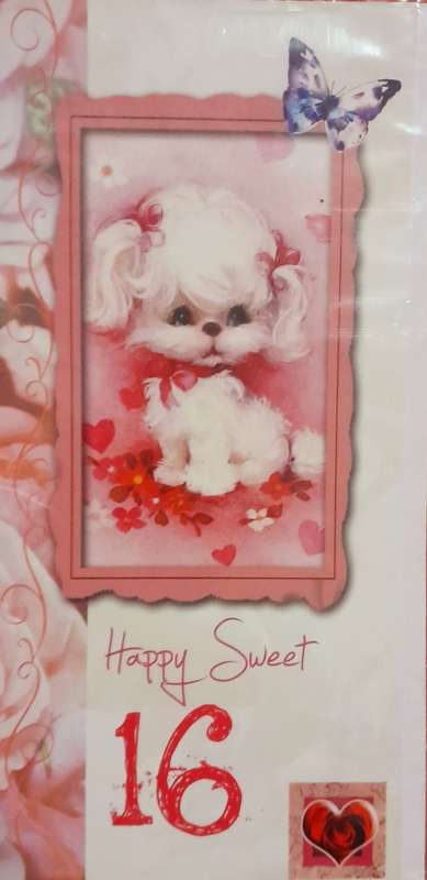 Greeting Card Sweet 16 Birthday