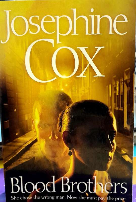Blood brothers by Josephine Cox