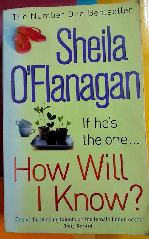 How will I know ? by Sheila O`Flanagan