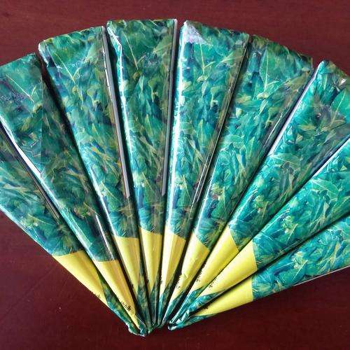 Natural Henna Temporary Tattoo Cones