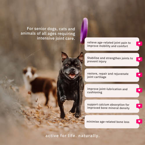 NutriFlex Advanced Joint-Support Collagen for Pets - 250g