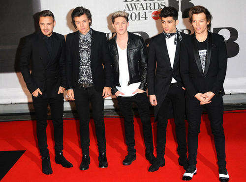 ONE DIRECTION JHB 29TH MARCH 2015