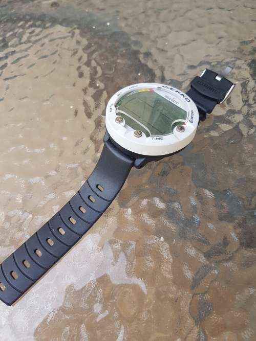 Suunto Gekko Dive Computer