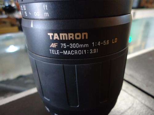 TAMRON LENS 75-300MM FOR NIKON
