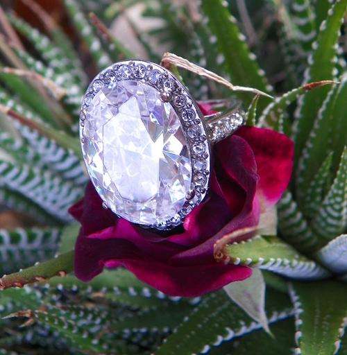 STAINLESS STEEL 19.4CT OVAL RING - SIZE 8