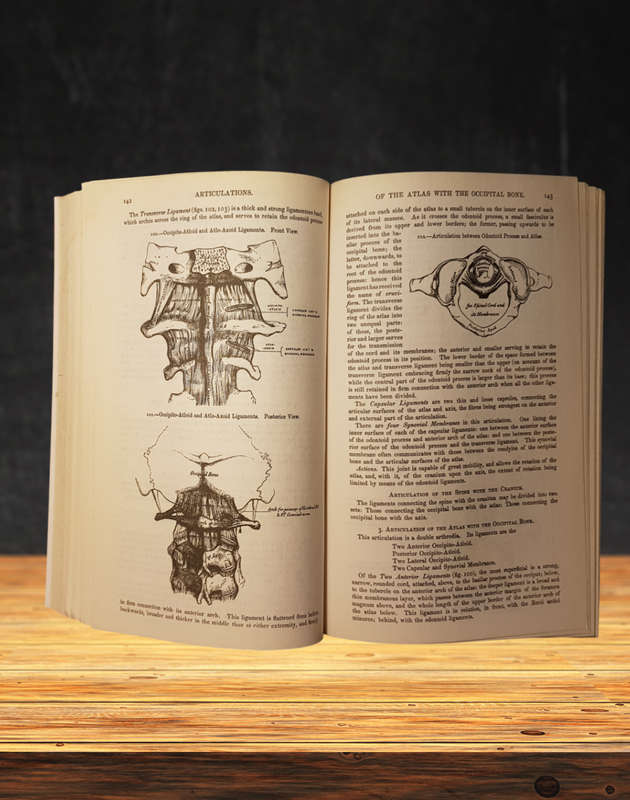 Gray's Anatomy (The Classic First Edition) Hardcover
