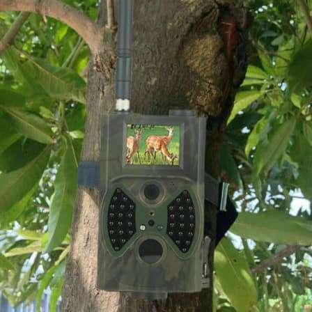 HD Hunting Trail Digital Animal Camera IR Night Vision Video 1080P GPRS