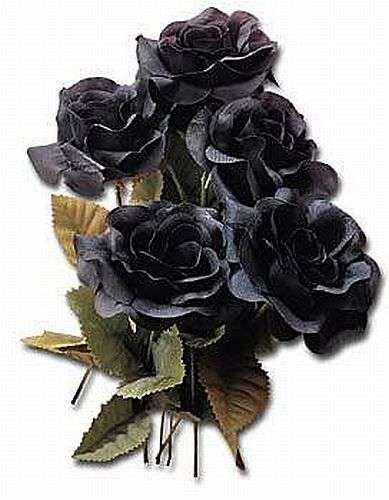 Black Rose by Alchemy Gothic
