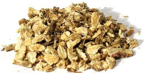 Magickal Herbs - Angelica