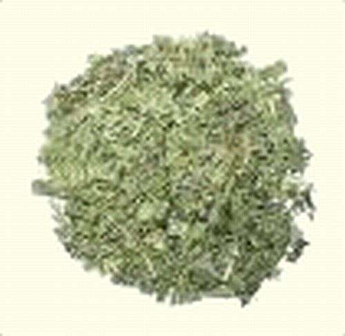 Magickal Herbs - Dandelion