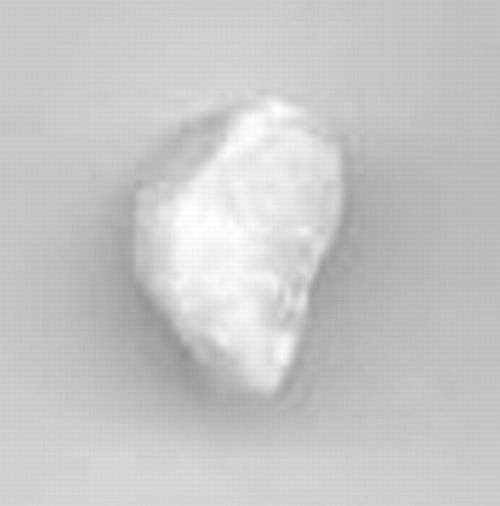 Milky Quartz Tumble