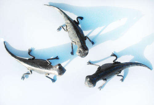 Metal Garden Ornament. Geckos Set of 3.