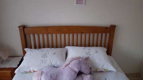 Queen size Bed with Pedestal and mattress (Solid wood)