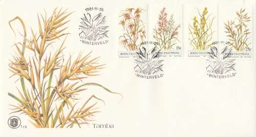 BOP 1981-11-25 Indigenous Grasses (Series 1) FDC 1.19 (125 000) [SACC R7]