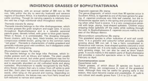 BOP 1981-11-25 Indigenous Grasses (Series 1) FDC 1.19 (125 000) [SACC R7]