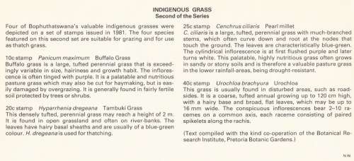 BOP 1984-01-20 Indigenous Grasses (Series 2) FDC 1.28 (80 000) [SACC R7]