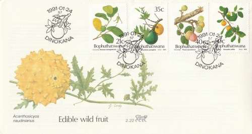 BOP 1991-01-24 Edible Wild Fruit FDC 2.22 (31 000) [SACC R10]