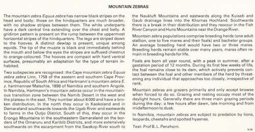 NAM 1991-04-18 Endangered Species. Mountain Zebra FDC 1.6 (58 000) [SACC R20]