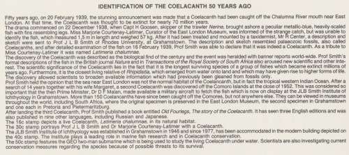 RSA 1989-02-09 Identification of the Coelacanth FDC 5.3 [SACC R10]