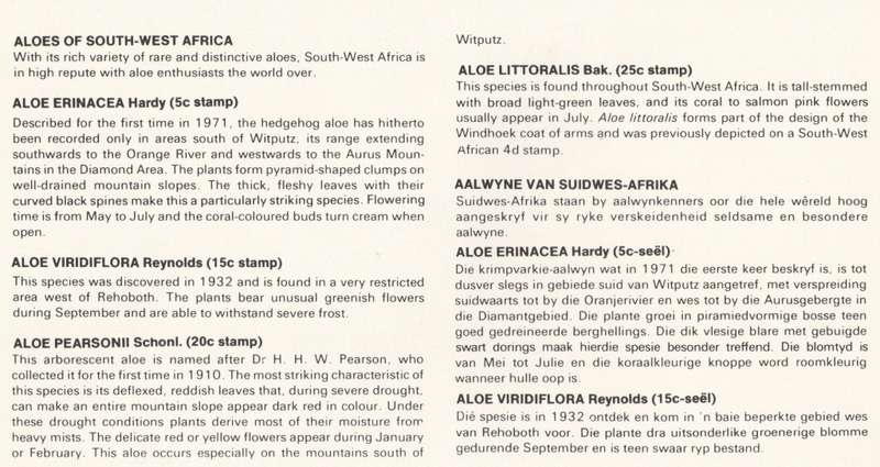 SWA 1981-08-14 Aloes FDC 33 (124 913) - [SACC R7]