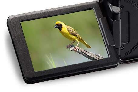 Nikon P900