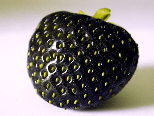 Rare Black Strawberry seeds (packet of 10 seeds) IN STOCK