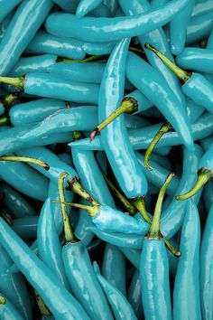 NEW! Turquoise Chili Pepper seeds (10 seeds per packet)
