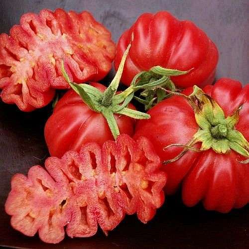 Rare Mexican Ruffled Tomato seeds (10 seeds per packet)