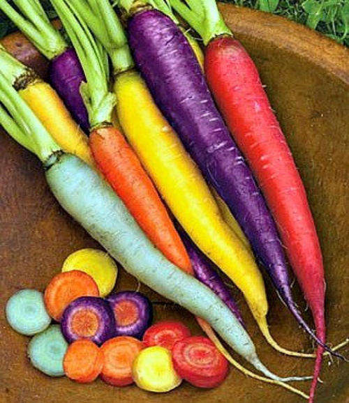 Rainbow Mixed colours Carrot Seeds (10 seeds)