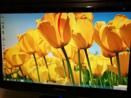 Samsung B2430H 24-Inch Widescreen LCD Monitor - Glossy Black