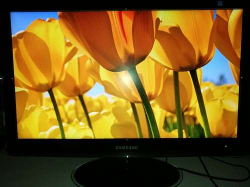 Samsung SyncMaster XL2370