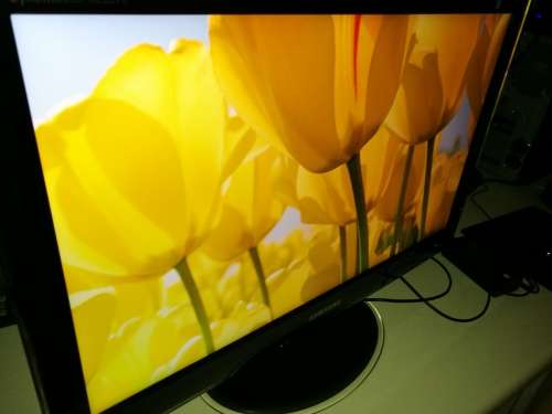 Samsung SyncMaster XL2370