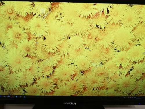 Mecer A2256 21.5" LED Monitor