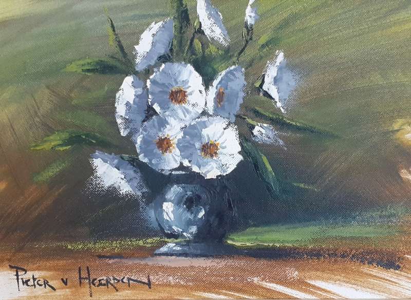 White Poppies