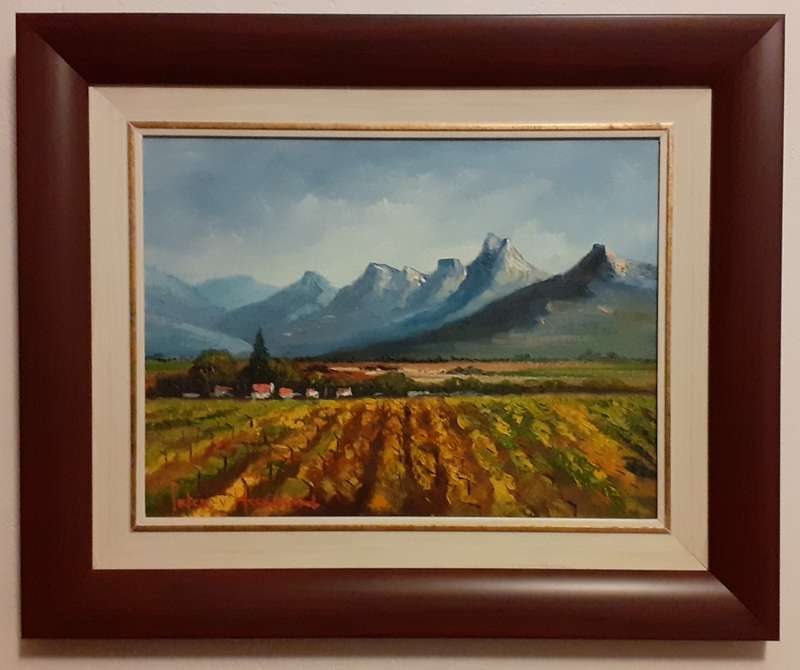 Cape Vineyard - Pieter van Heerden