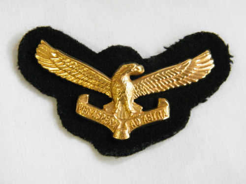 SA Air Force badge on black background - as per photo
