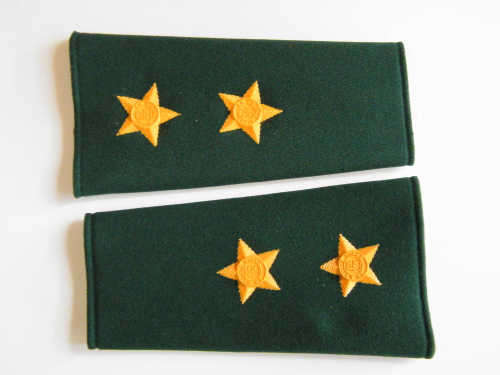 Pair of Correctional Services Lieutenant epaulets - as per photo