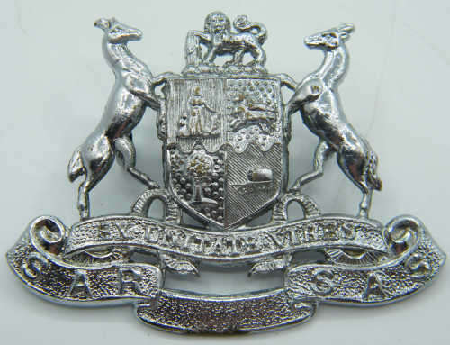 SAR/SAS Police badge - as per photo