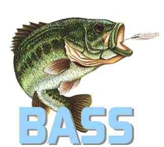 THE ULTIMATE BASS ANGLERS DISK