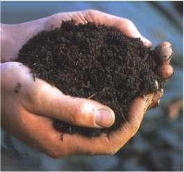 COMPOSTING - Step by Step disk