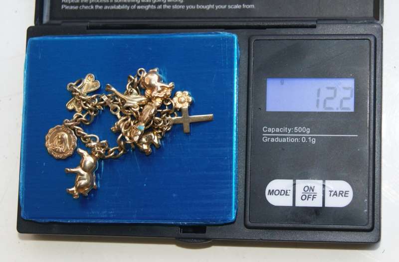 9ct Gold Charm Bracelet with 9 Gold Charms (12.2g) @ CRAZY LOW R1 START