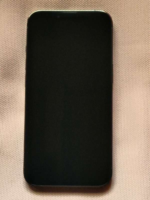 iPHONE 13 PRO 1TB, CABLE, NEW GLASS PROTECTOR AND NEW POUCH. 9.9/10