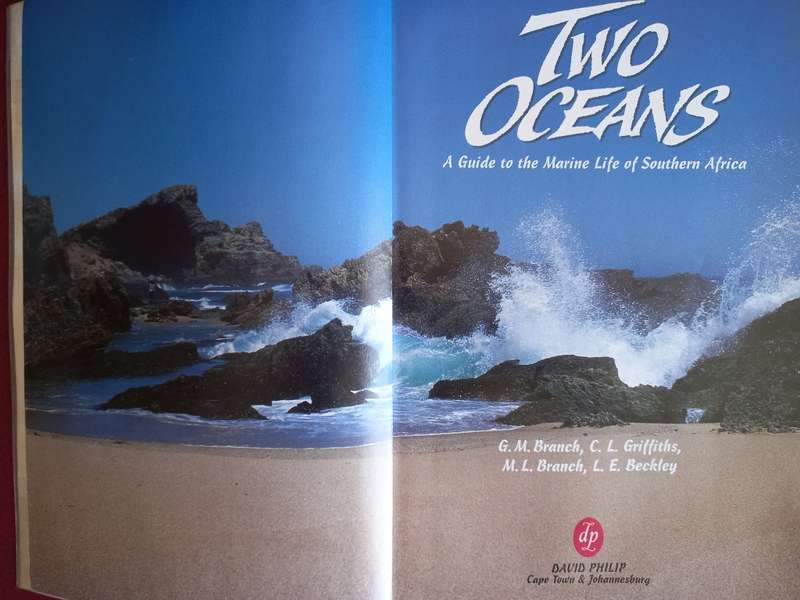 Two Oceans - A Guide to the Marine Life of Southern Africa